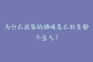 为什么我家的猫咪怎么欺负都不生气?