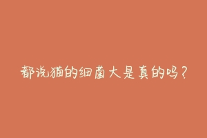 都说猫的细菌大是真的吗？