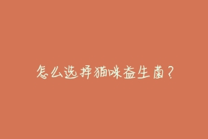 怎么选择猫咪益生菌？