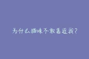 为什么猫咪不敢靠近我？