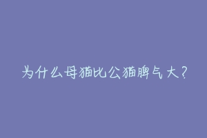 为什么母猫比公猫脾气大？