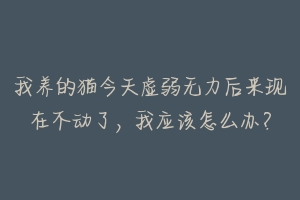 我养的猫今天虚弱无力后来现在不动了,我应该怎么办?