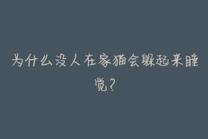 为什么没人在家猫会躲起来睡觉?