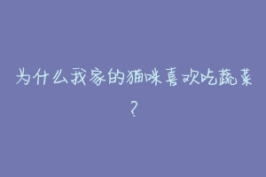 为什么我家的猫咪喜欢吃蔬菜?