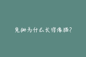 兔狲为什么长得像猫?