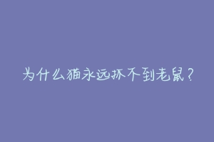 为什么猫永远抓不到老鼠？