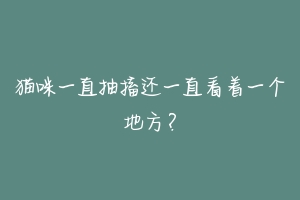 猫咪一直抽搐还一直看着一个地方?