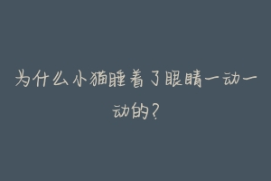 为什么小猫睡着了眼睛一动一动的?
