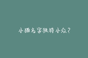 小猫名字独特小众？