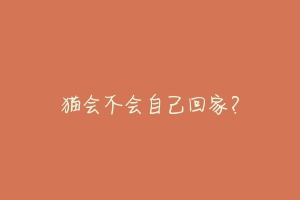 猫会不会自己回家?