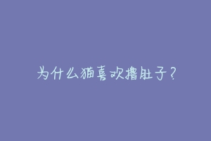 为什么猫喜欢撸肚子?