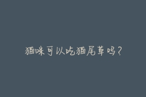 猫咪可以吃猫尾草吗?