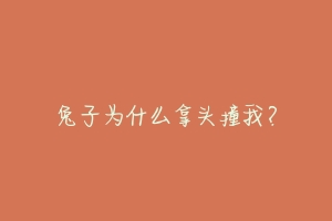 兔子为什么拿头撞我?
