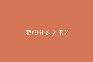 猫怕什么声音?
