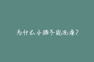 为什么小猫不能洗澡?