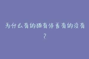 为什么有的猫有体香有的没有?