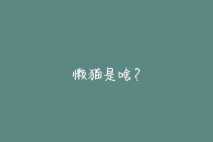 懒猫是啥?