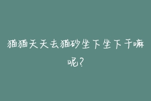 猫猫天天去猫砂坐下坐下干嘛呢?