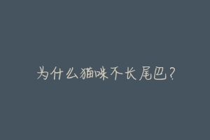 为什么猫咪不长尾巴?