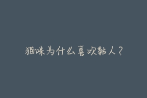 猫咪为什么喜欢黏人?