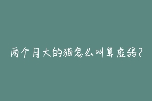 两个月大的猫怎么叫算虚弱?