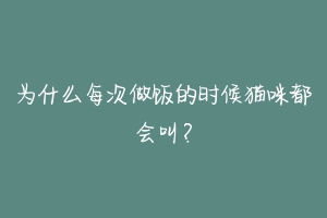 为什么每次做饭的时候猫咪都会叫?