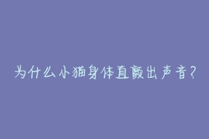 为什么小猫身体直颤出声音?