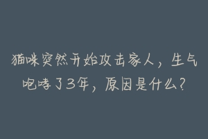 猫咪突然开始攻击家人,生气咆哮了3年,原因是什么?