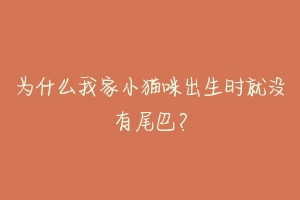 为什么我家小猫咪出生时就没有尾巴?