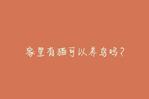 家里有猫可以养鸟吗?