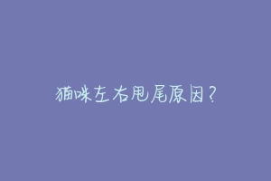 猫咪左右甩尾原因?