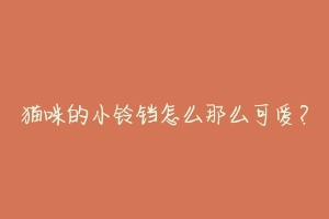 猫咪的小铃铛怎么那么可爱?