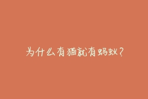 为什么有猫就有蚂蚁？