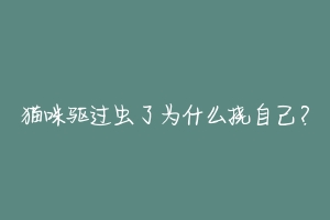 猫咪驱过虫了为什么挠自己?
