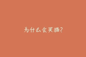 为什么会买猫?