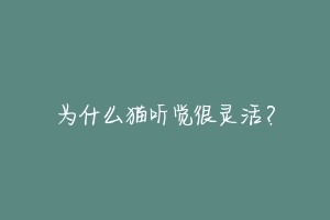 为什么猫听觉很灵活?