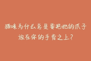 猫咪为什么总是要把她的爪子放在你的手背之上?