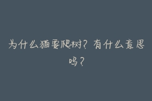 为什么猫要爬树?有什么意思吗?