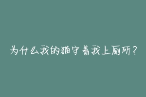 为什么我的猫守着我上厕所?