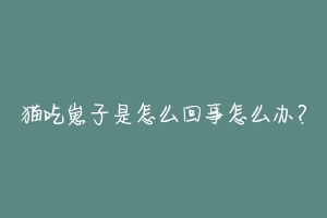 猫吃崽子是怎么回事怎么办？