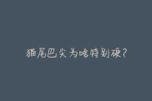 猫尾巴尖为啥特别硬?