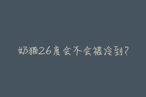 奶猫26度会不会被冷到?