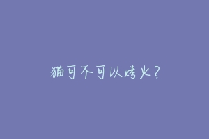 猫可不可以烤火?