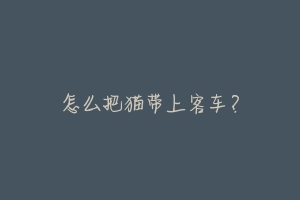 怎么把猫带上客车?