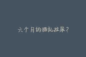 六个月的猫乱拉尿?