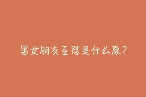 男女朋友互怼是什么原?