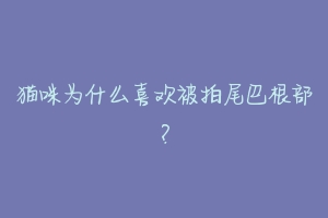 猫咪为什么喜欢被拍尾巴根部?