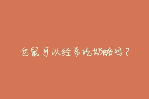 仓鼠可以经常吃奶酪吗?
