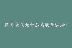 猫耳朵里为什么看起来很油?