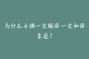 为什么小猫一会躲你一会和你亲近?